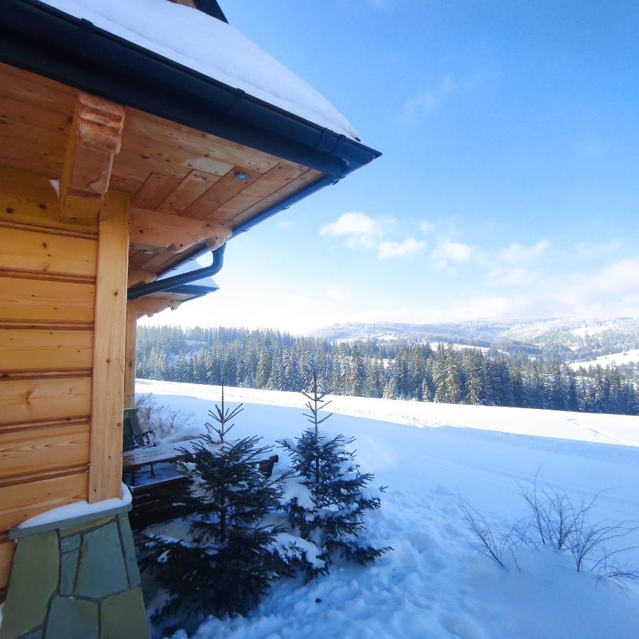 Witowianskie Domki Z Kominkiem, Jacuzzi I Sauna Dzianisz Exterior foto